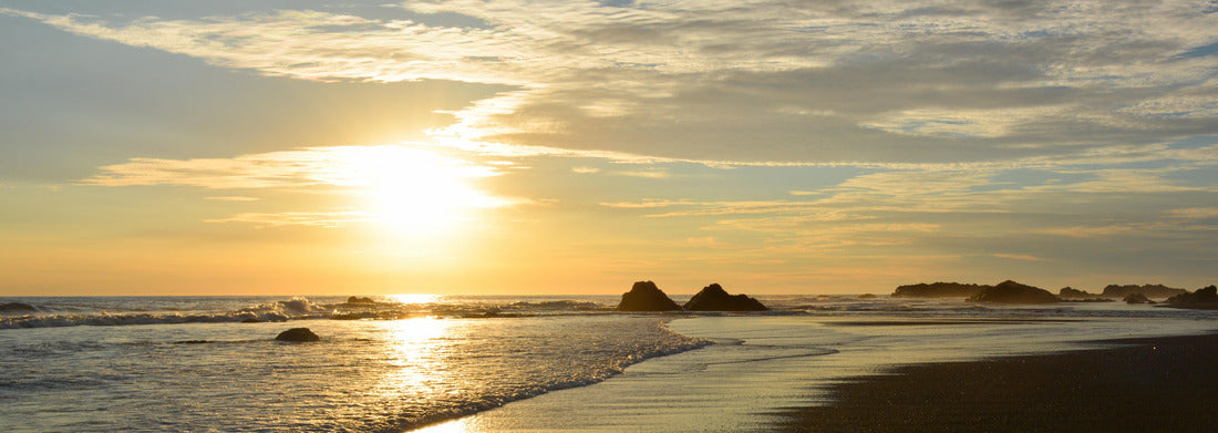 Noah Jigsaw Puzzle Bahia Solano Beach Colombia, Panorama 1000 Pieces