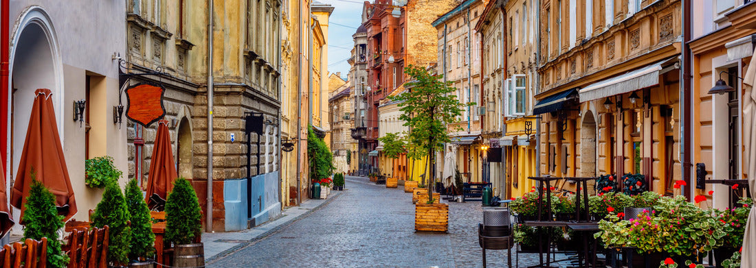Noah Jigsaw Puzzle A street in the historic old town of Lviv, Ukraine, Panorama 1000 Pieces