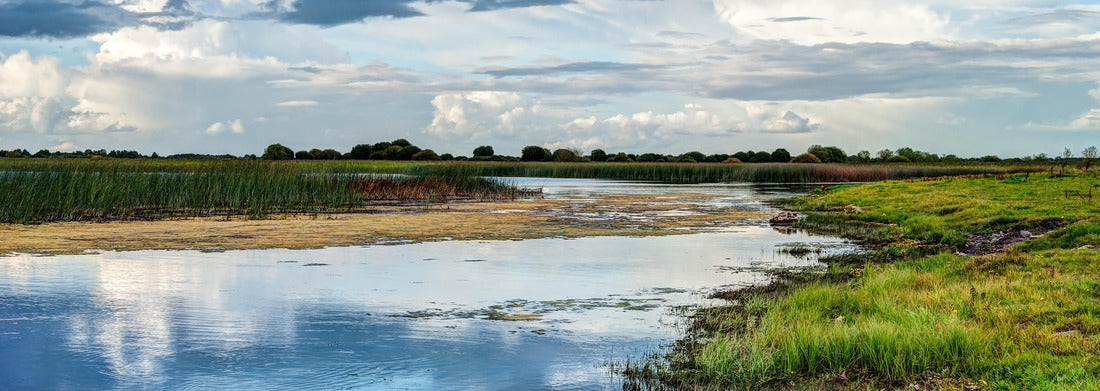 Noah Jigsaw Puzzle River landscape of the Shannon, County Offaly, Ireland, Panorama 1000 Pieces