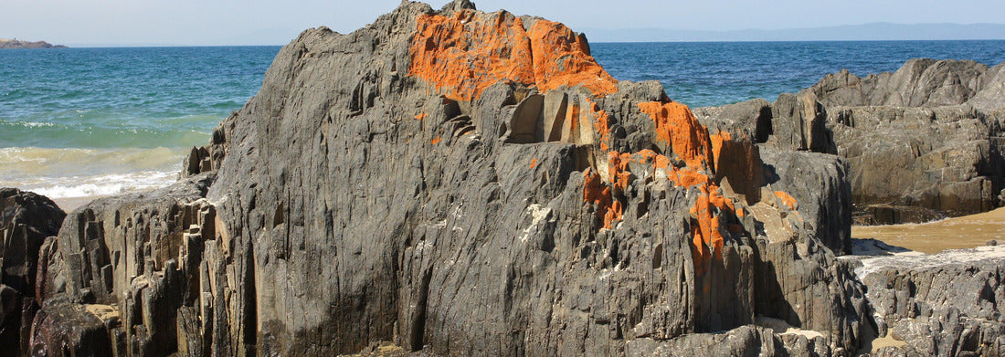 Noah Jigsaw Puzzle Spiky Beach, coast near Swansea, Tasmania, Australia, Panorama 1000 Pieces