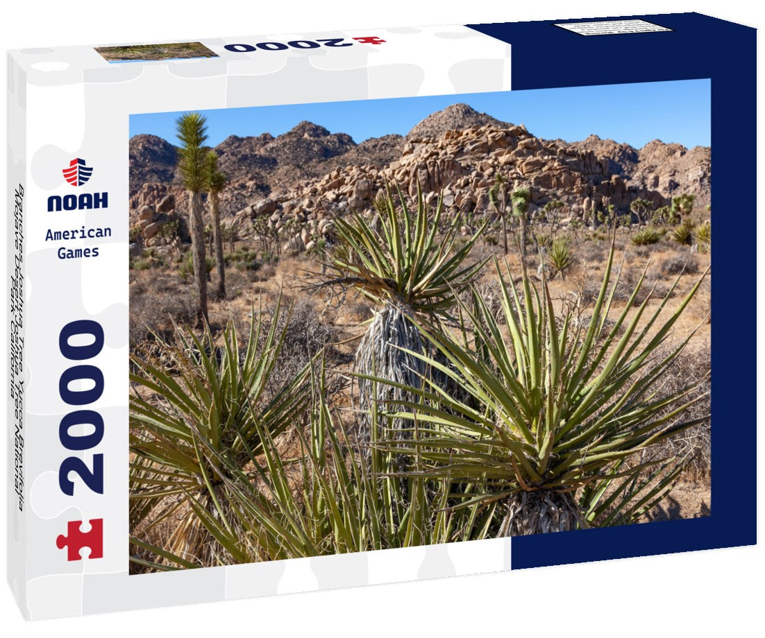 Noah Jigsaw Puzzle Branches Joshua Tree Yucca Brevifolia Mojave Desert Joshua Tree National Park California 2000 pieces