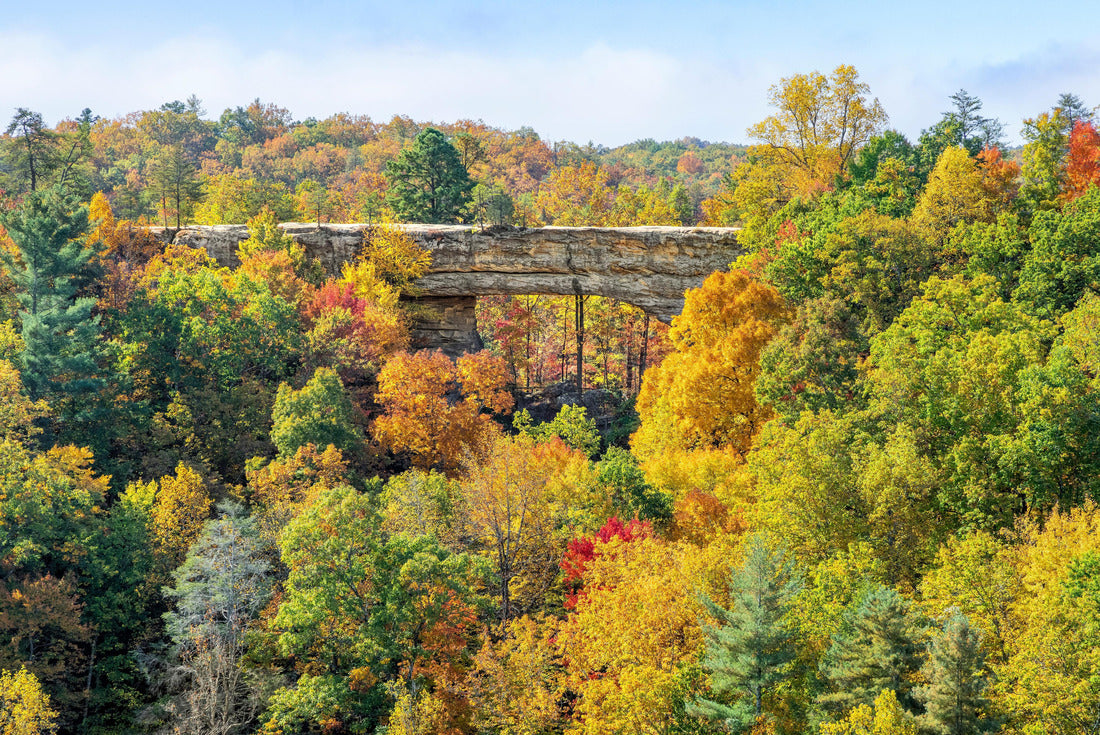 From Lookout Point over Battleship Rock, surrounded by colorful autumn leaves, a large rock arch is the geological center of Natural Bridge State Park in the Red River Gorge area of Kentucky 2000pc Puzzle