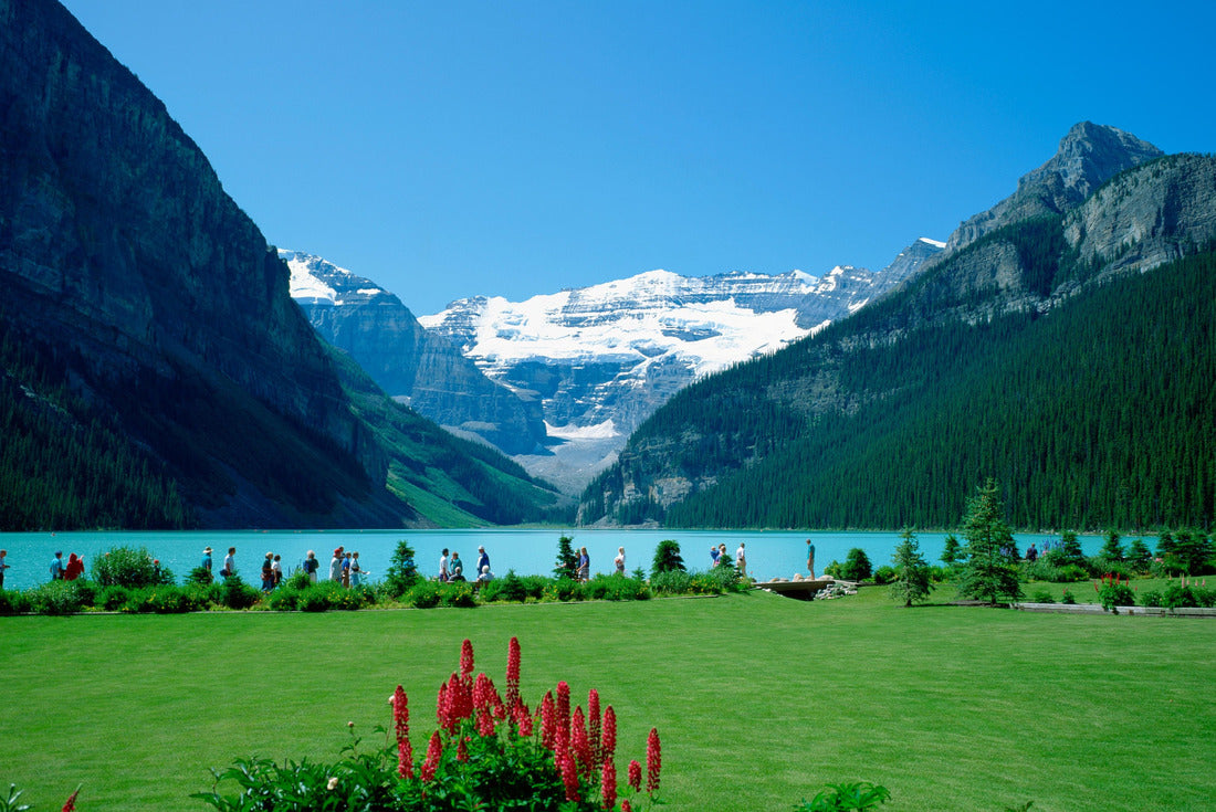 Noah Jigsaw Puzzle Lake Louise, Banff National Park, UNESCO World Heritage, Alberta, Canada 2000 pieces