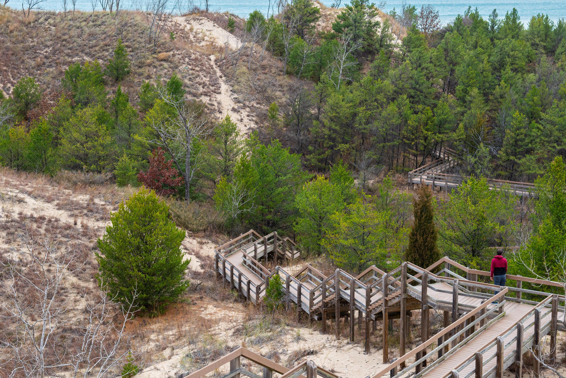 Noah Jigsaw Puzzle Indiana Dunes National Park Scenery 2000 pieces