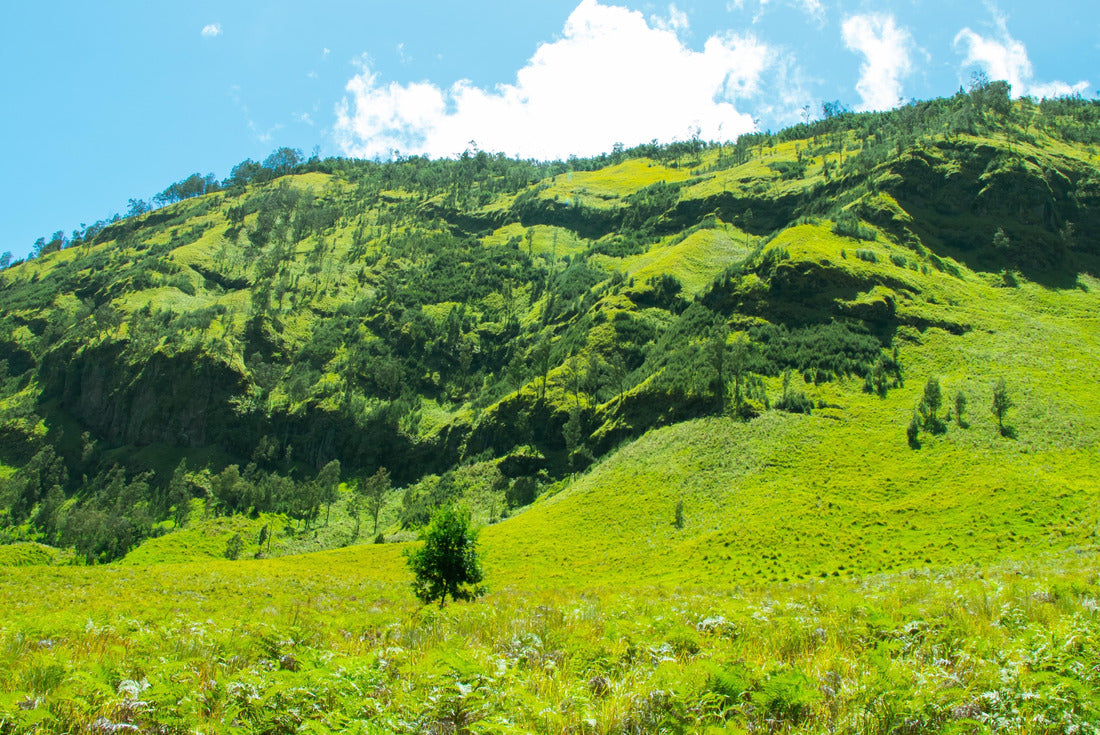 Savana and Teletubbies Hill at Bromo Tengger Semeru National Park, East Java, Indonesia. Indonesian Landscape 2000pc Puzzle