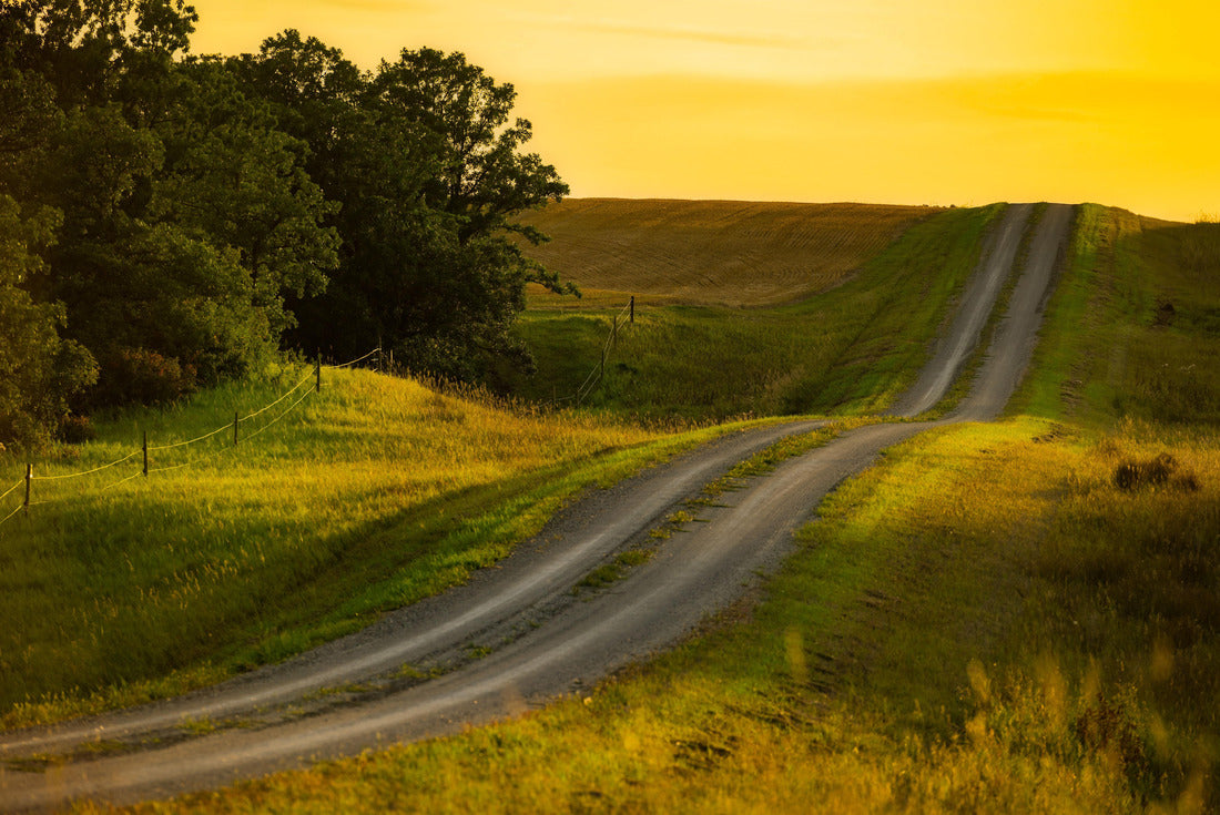 A beautiful shot of tire tracks on rural prairies under a Manitoba sunset 2000pc Puzzle