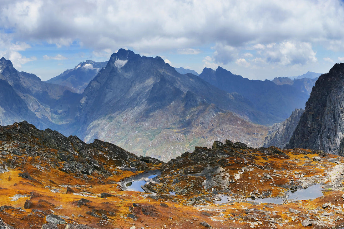 A moss-covered plateau with small pools of water. Weismann's Peak in Rwenzori Mountains National Park, Uganda 2000pc Puzzle
