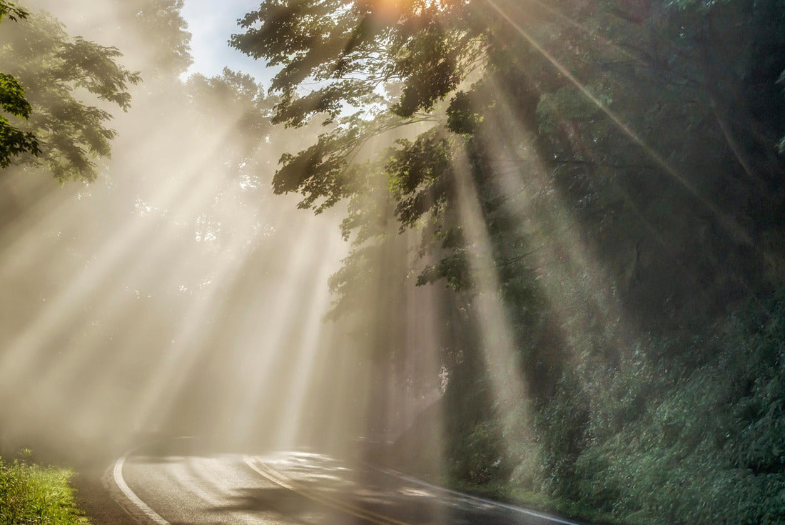 Country road on a summer morning as the fog begins to rise and the sunlight breaks through on McGuire Mountain in Webster County, West Virginia, USA 2000pc Puzzle