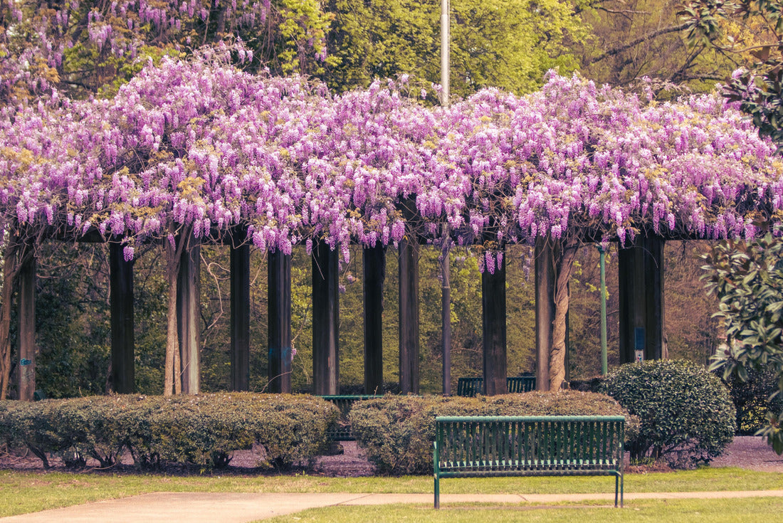 The Arbor of Memories in West Point, Mississippi 2000pc Puzzle