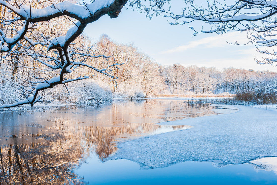 Noah Jigsaw Puzzle Winter landscape of a frozen river reflecting the icy blue sky, surrounded by snow-covered trees in Mölndal, Sweden 2000 pieces