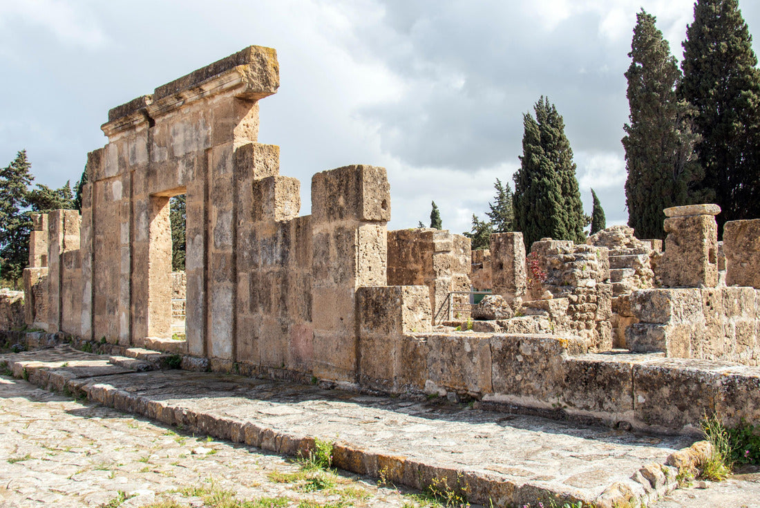 Noah Jigsaw Puzzle Utica, an ancient Phoenician and Carthaginian city in Tunisia 2000 pieces