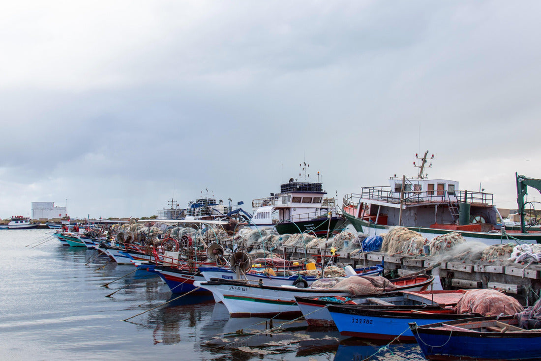 Noah Jigsaw Puzzle Fishing harbor - Kechla, Ghar al Milh, Ghar El Melh, Bizerte, Tunisia 2000 pieces