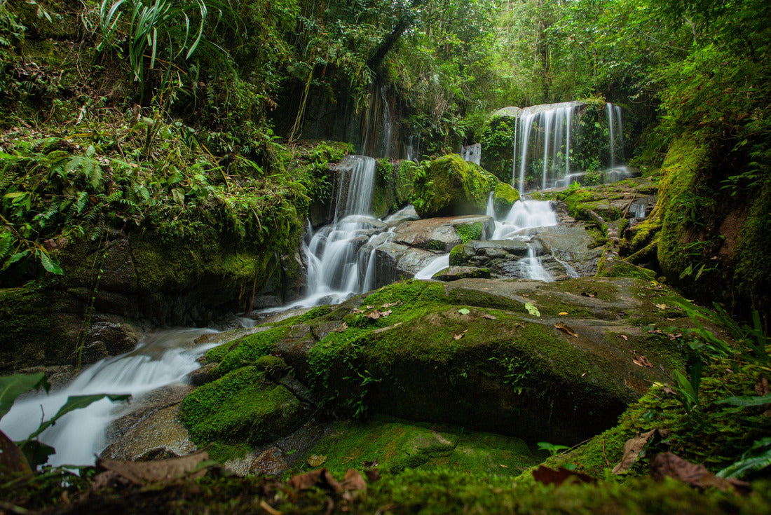 Noah Jigsaw Puzzle SALU DAMBU Waterfall, is a waterfall located in a protected forest area, Sumarorong sub-district, Mamasa district, West Sulawesi province, Indonesia 2000 pieces