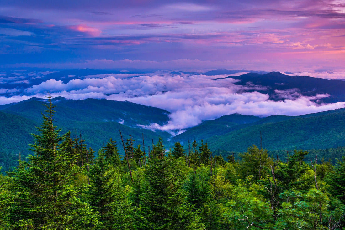 Low clouds in the valley at sunset, seen from Clingmans Dome, Great Smoky Mountains National Park, Tennessee 2000pc Puzzle