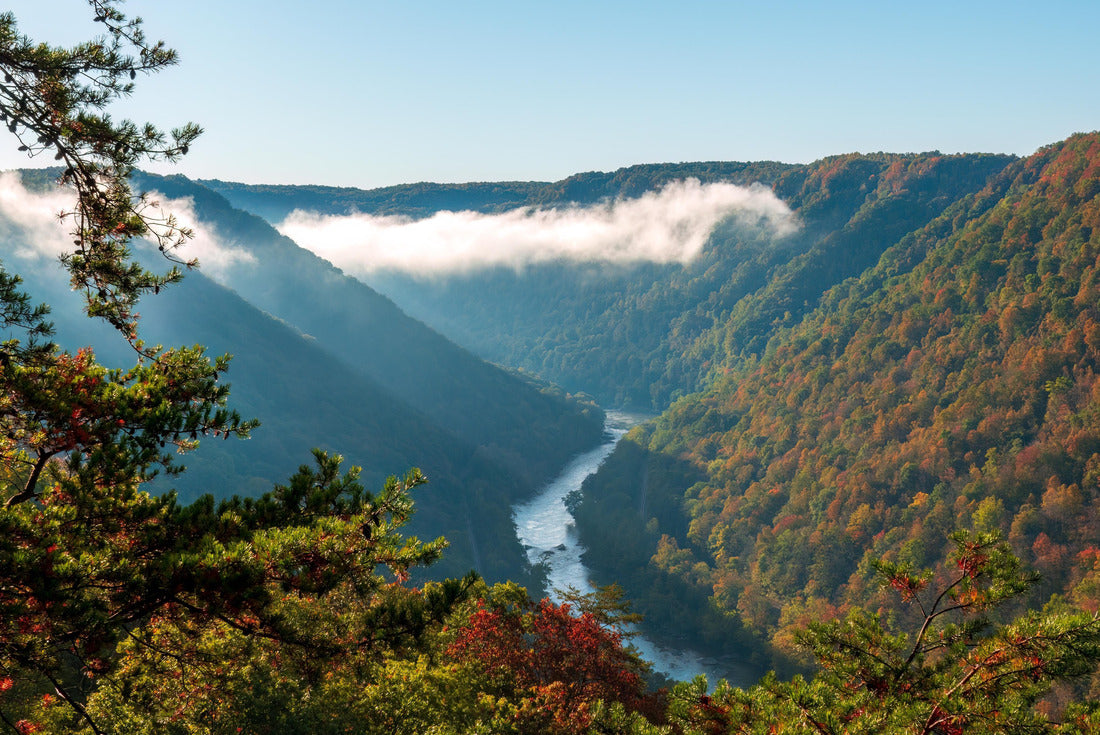 Fall colors and mist in the New River Gorge National Park on a fall morning 2000pc Puzzle