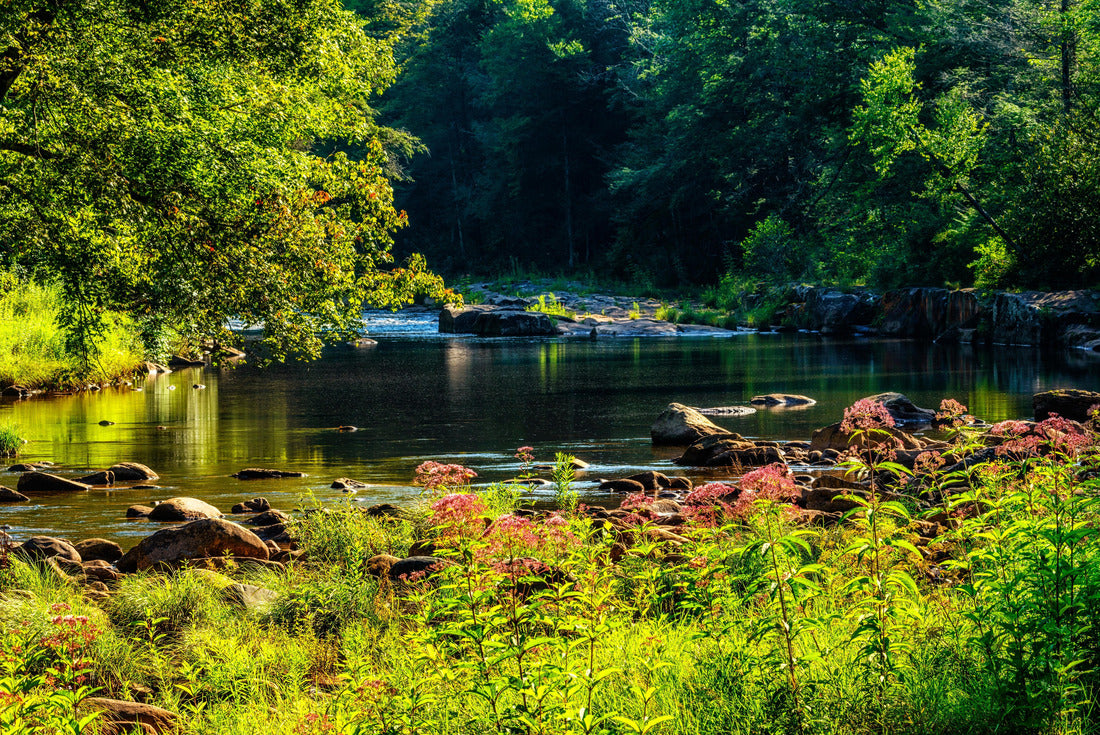Summer day along the Williams River in Monongahela National Forest, West Virginia, USA 2000pc Puzzle
