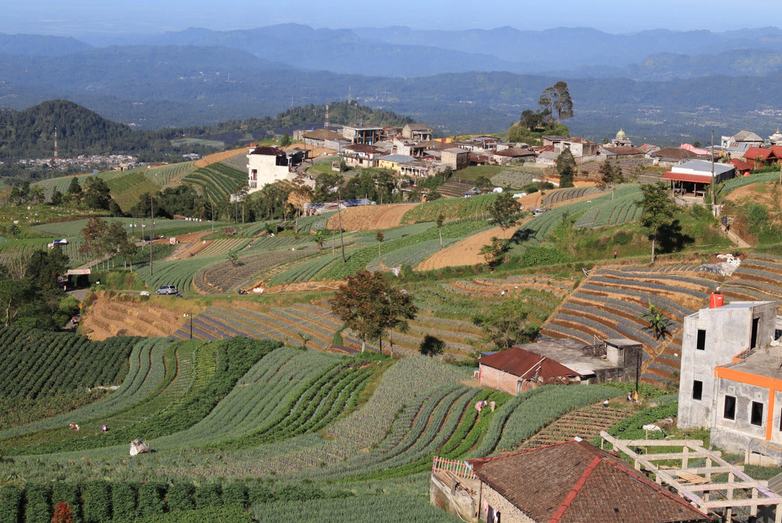 Noah Jigsaw Puzzle rice fields and colorful houses and buildings in a top hill of Magelang City in Central Java Province, Indonesia 2000 pieces
