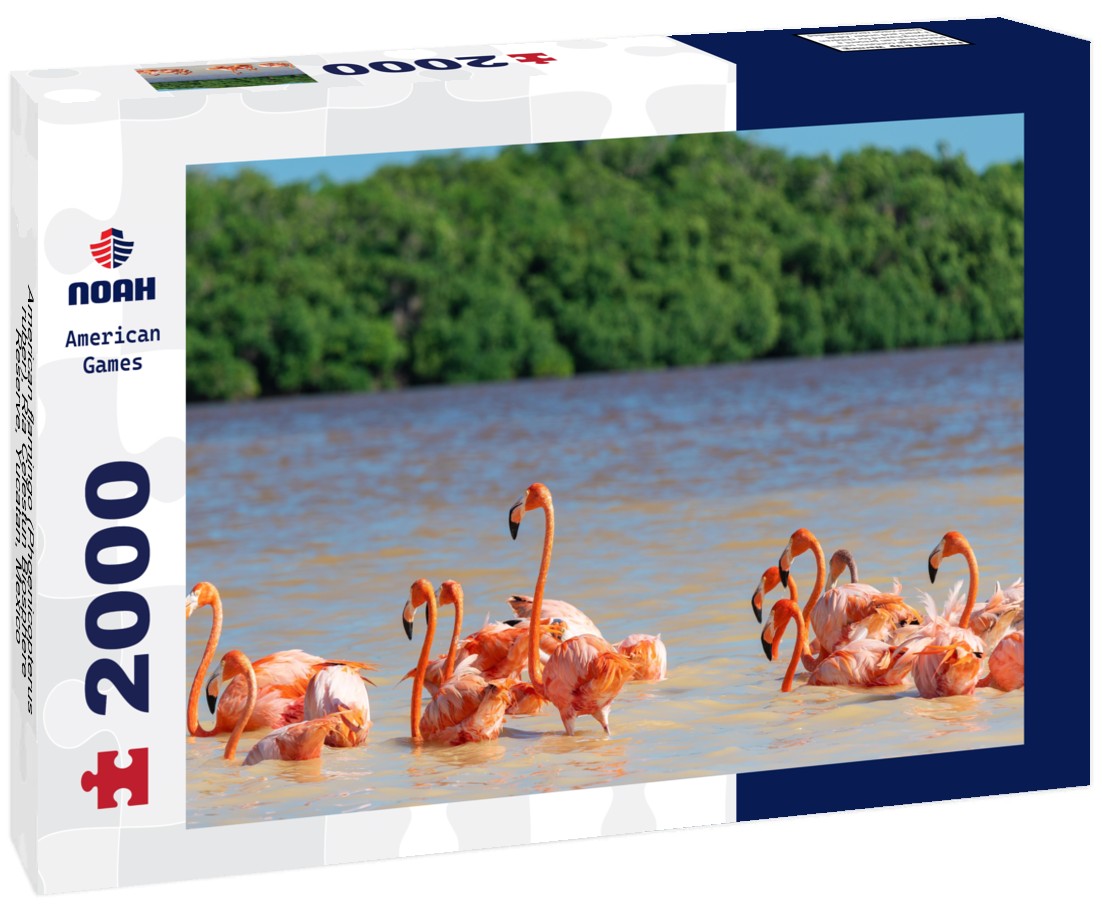 American flamingo (Phoenicopterus ruber), Ria Celestun Biosphere Reserve, Yucatan, Mexico 2000pc Puzzle