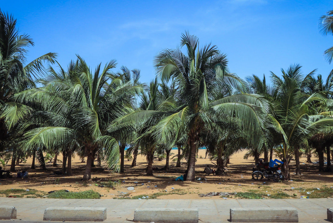 Noah Jigsaw Puzzle Ocean shore with palm trees and sandy beach in Togo, West Africa 2000 pieces