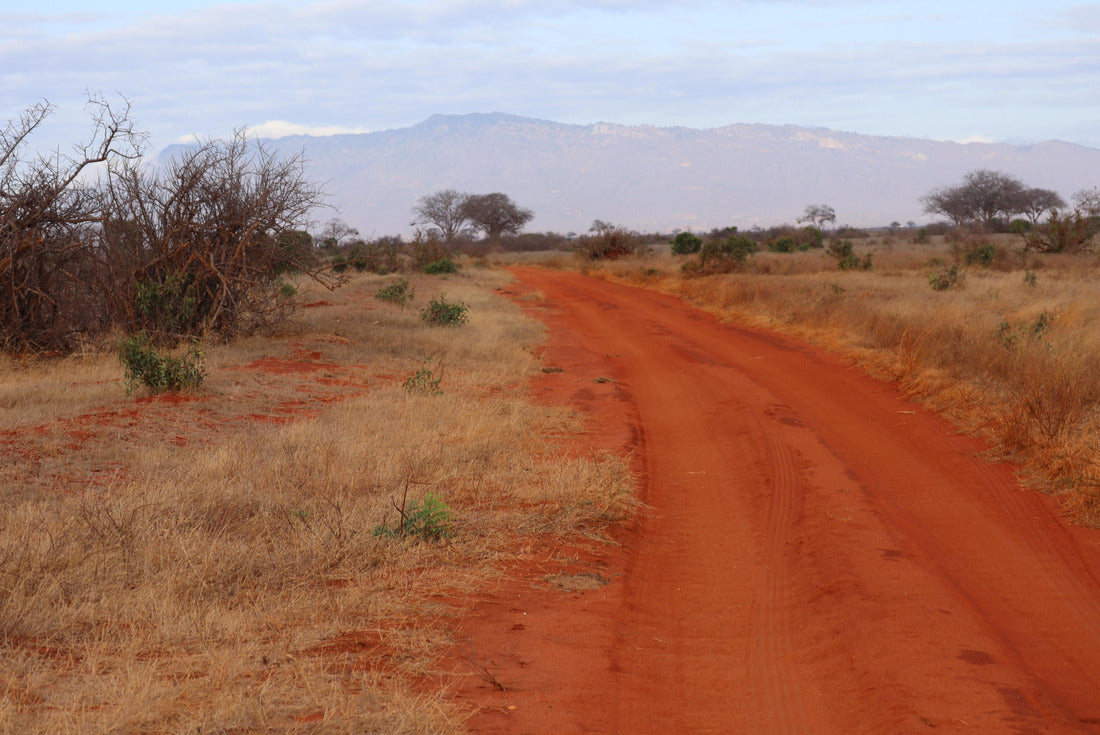 Safari in Kenya. Roads on red sand 2000pc Puzzle