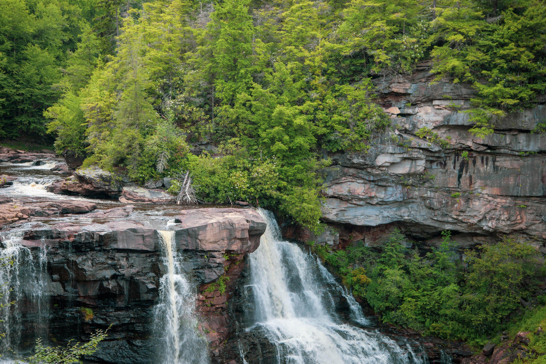 Blackwater Falls West Virginia Stream Landscape 2000pc Puzzle