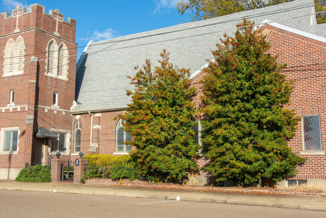 Noah Jigsaw Puzzle W. S. Graham Memorial Presbyterian Church on Dillard Avenue in Forrest City, Arkansas 2000 pieces