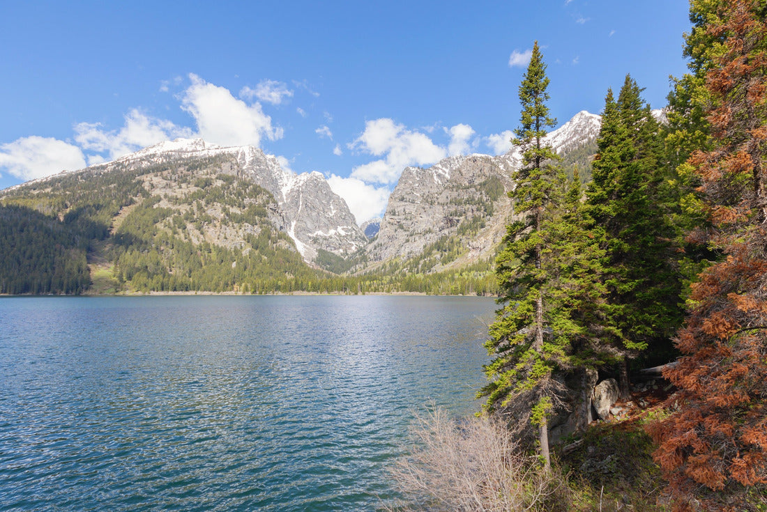 Phelps Lake, landscapes, mountains, forests and wild nature of Grand Teton National Park, Wyoming, USA 2000pc Puzzle