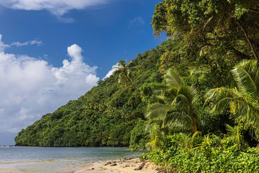 Beautiful landscape view of the National Park of American Samoa on the island of Tutuila 2000pc Puzzle