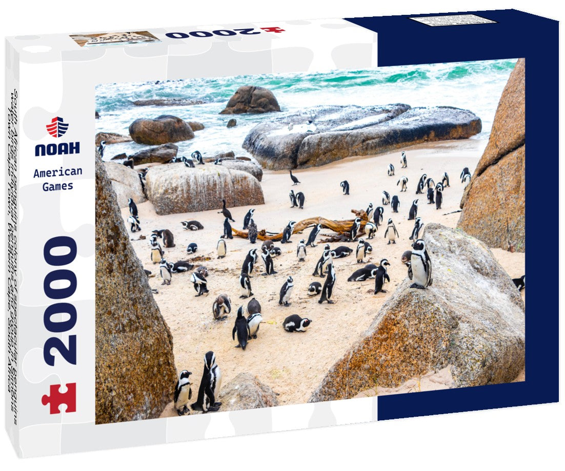 South African penguins colony of spectacular penguins water birds individual penguins and group in Simons Town Cape Town, Western Cape, South Africa 2000pc Puzzle