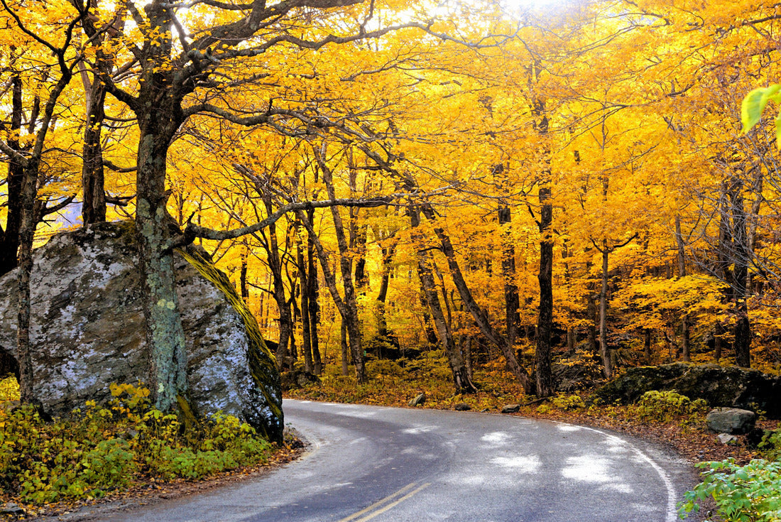 Vibrant autumn colors in the sun with winding Smuggler's Notch road, Vermont, USA 2000pc Puzzle