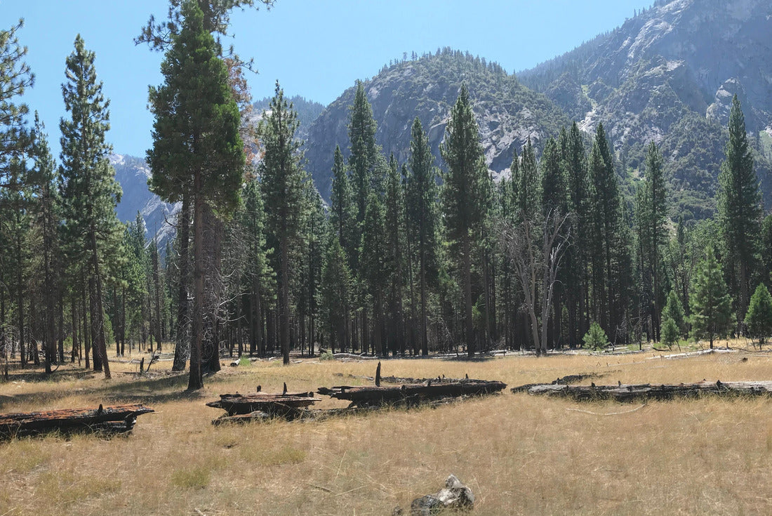 Kings Canyon National Park in Southern California 2000pc Puzzle