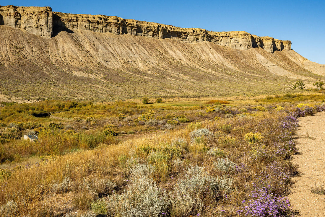 Purple flowers and the cliffs outside Kremmling, Colorado 2000pc Puzzle