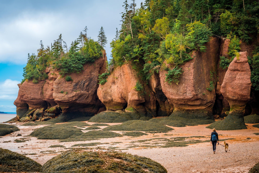 Hopewell Rocks Provincial Park, Bay of Fundy, Hopewell Cape, New Brunswick, Canada 2000pc Puzzle