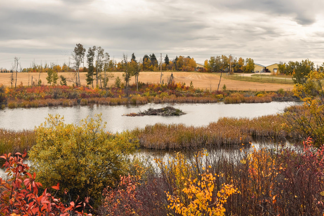 Biebach and beer lodge in autumn in Kuhnen Park in Lacombe County, Alberta, Canada 2000pc Puzzle