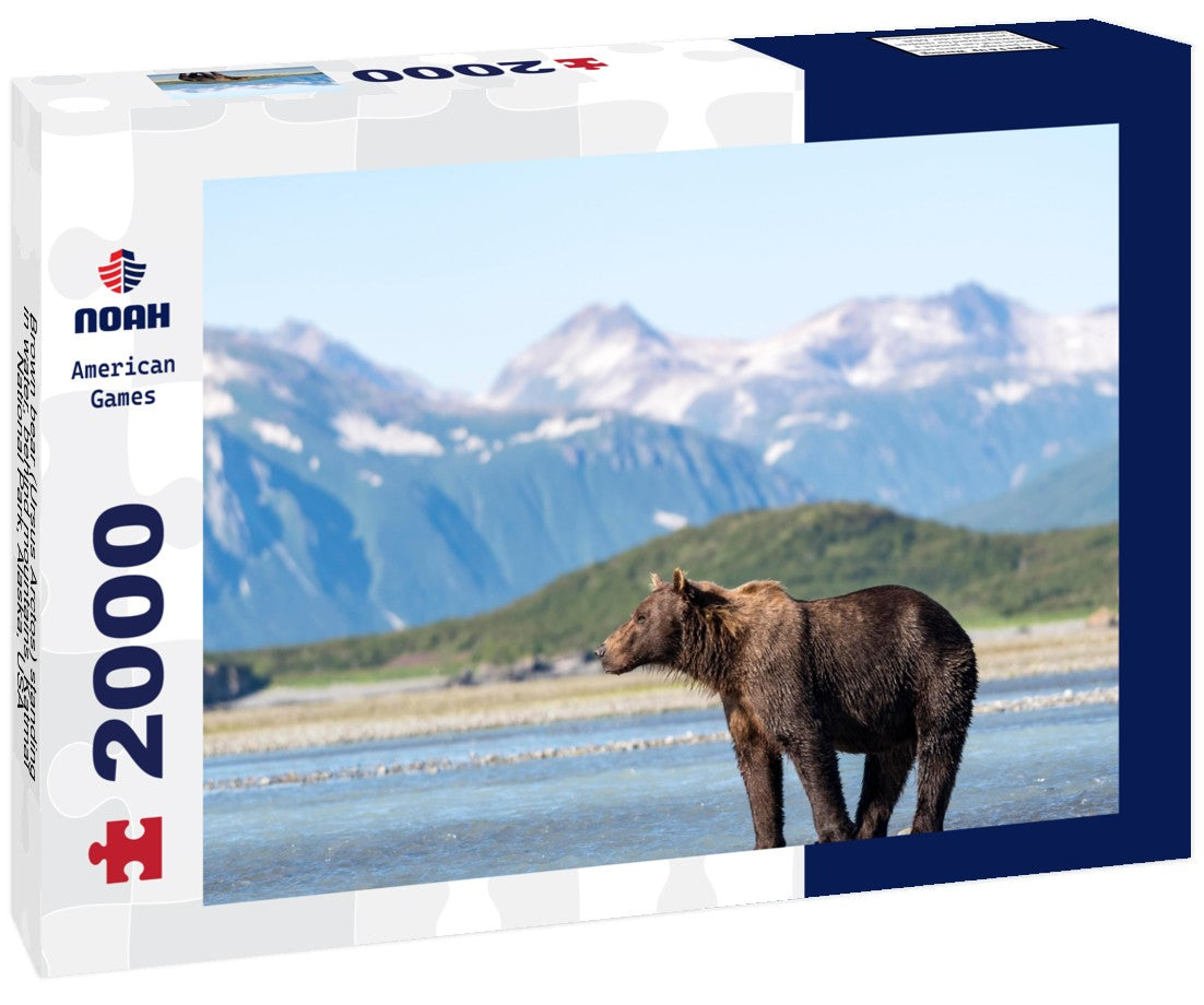 Brown bear (Ursus Arctos) standing in water, behind mountains, Katmai National Park, Alaska, USA 2000pc Puzzle