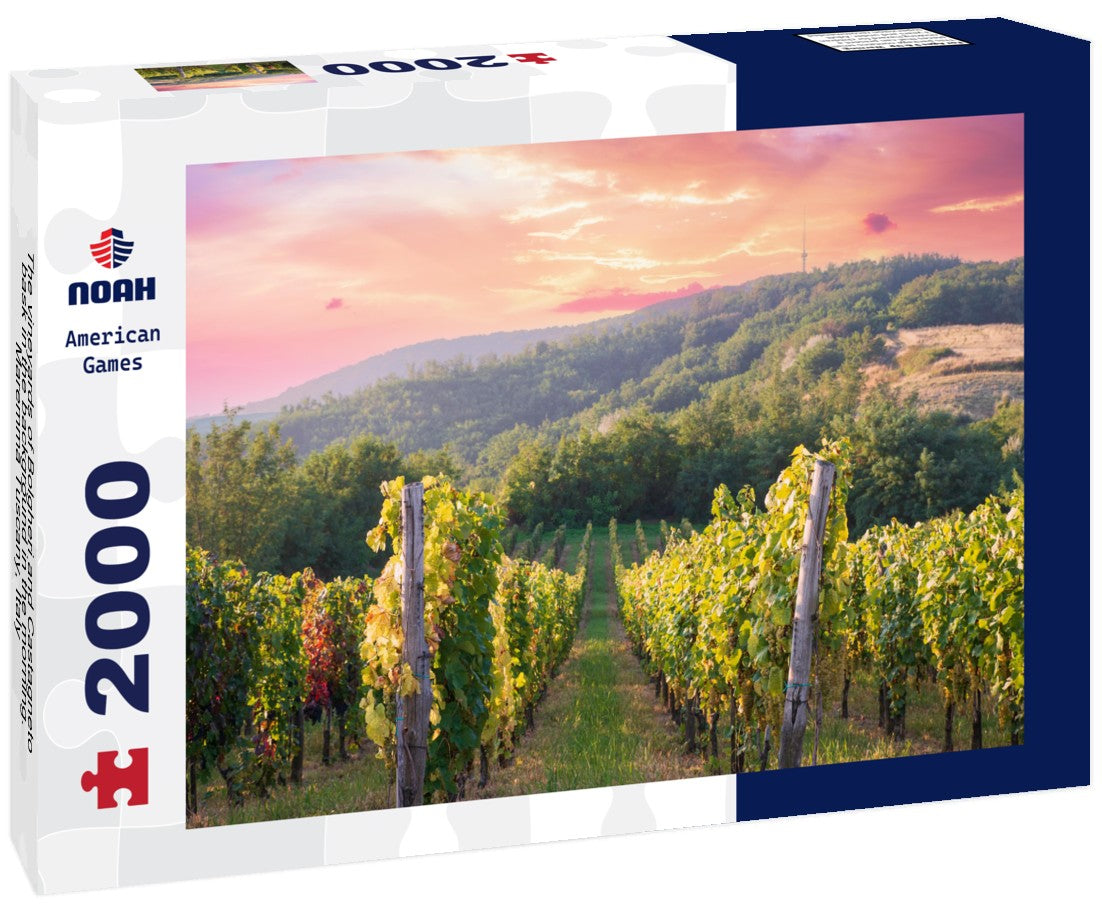 The vineyards of Bolgheri and Castagneto bask in the background in the morning. Maremma Tuscany, Italy 2000pc Puzzle