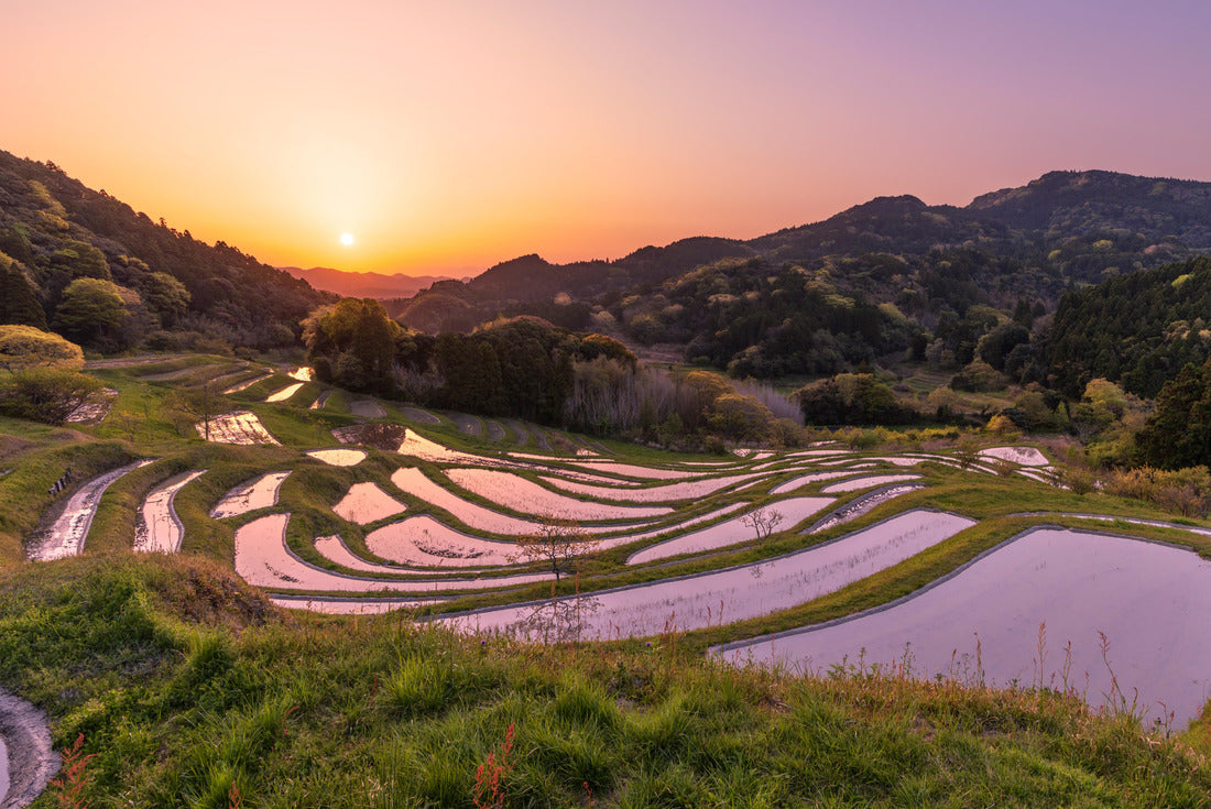 Oyama Senmaida lit up by the morning sun in spring, Kamogawa City, Chiba Prefecture 2000pc Puzzle