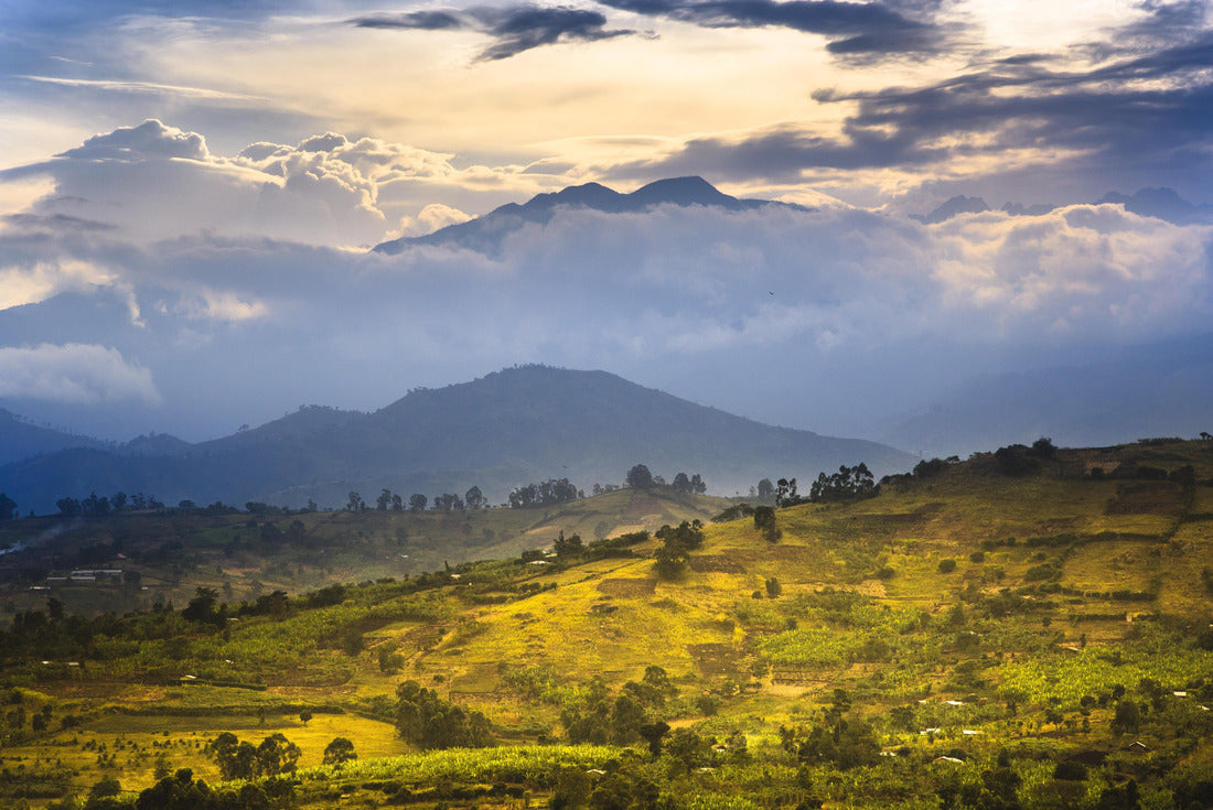 Noah Jigsaw Puzzle View of the Rwenzori Mountains around Fort Portal - Uganda 2000 pieces