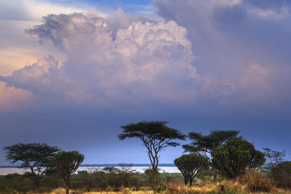 Noah Jigsaw Puzzle Lake Edward in Queen Elizabeth National Park, Uganda 2000 pieces