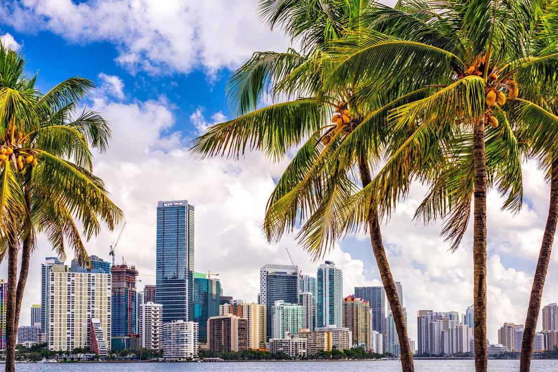 Miami, Florida, USA tropical downtown skyline 2000pc Puzzle