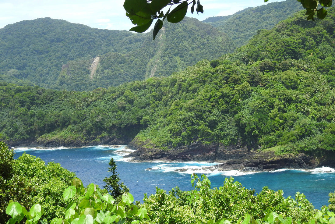 Noah Jigsaw Puzzle Seascape at the National Park of American Samoa 2000 pieces