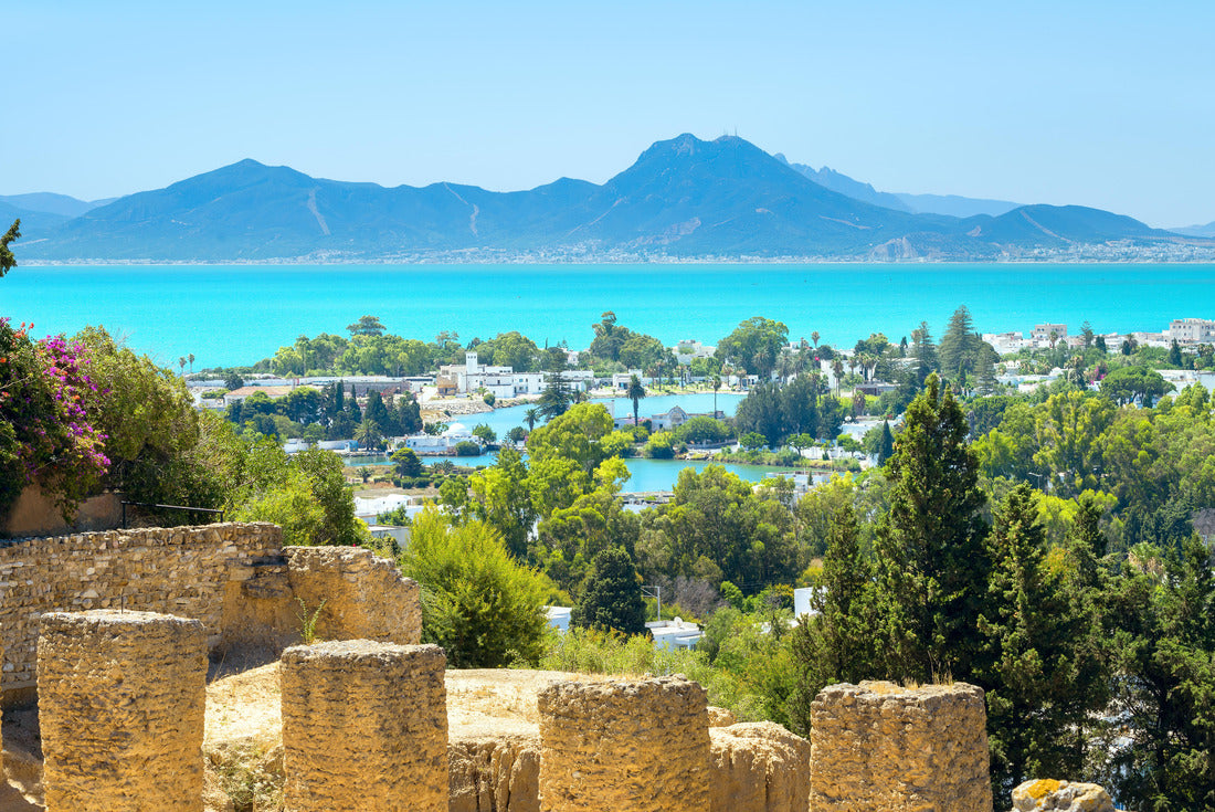 Noah Jigsaw Puzzle Landscape with ancient ruins of Carthage. Tunisia, Africa 2000 pieces