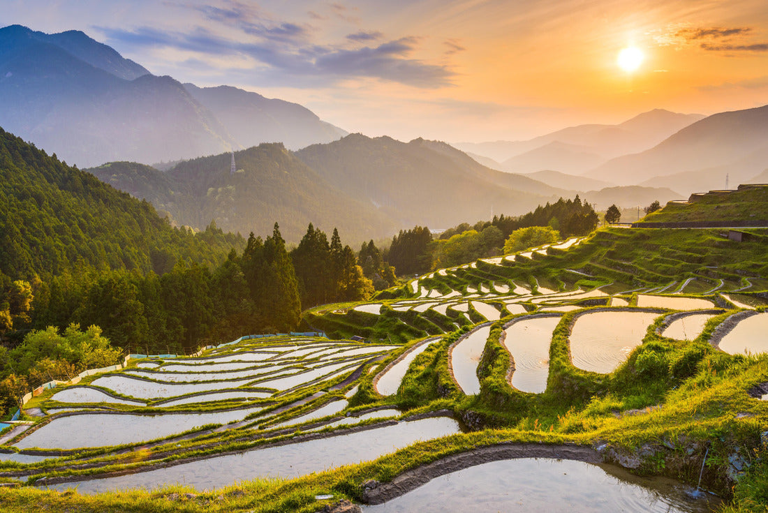 Rice terraces at sunset in Maruyama-senmaida, Kumano, Japan 2000pc Puzzle