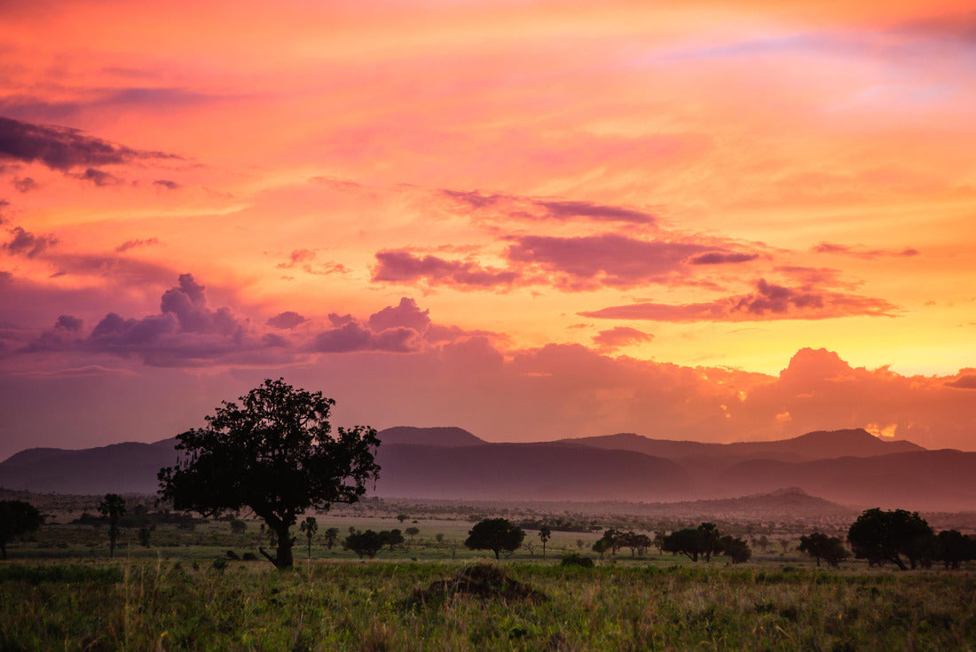 Noah Jigsaw Puzzle Stormcloud landscape in Kidepo Valley National Park - Uganda 2000 pieces