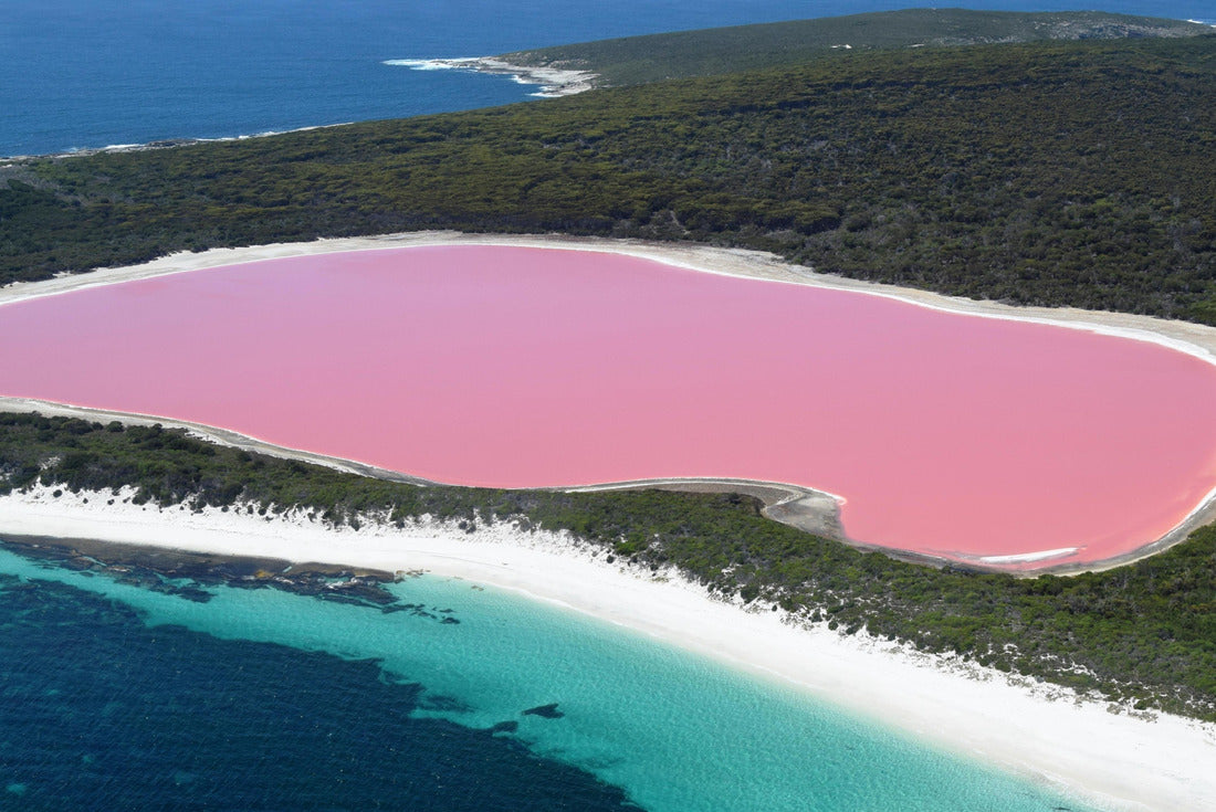 Lake Hillier, Western Australia: Amazing pink lake, natural landmark of Australia, in Middle Island, Recherche Archipelago Nature Reserve, near Esperance 2000pc Puzzle