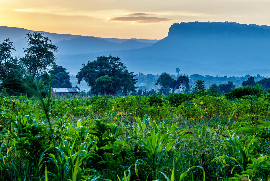 Uganda nature with the Mount Elgon national park in the background 2000pc Puzzle
