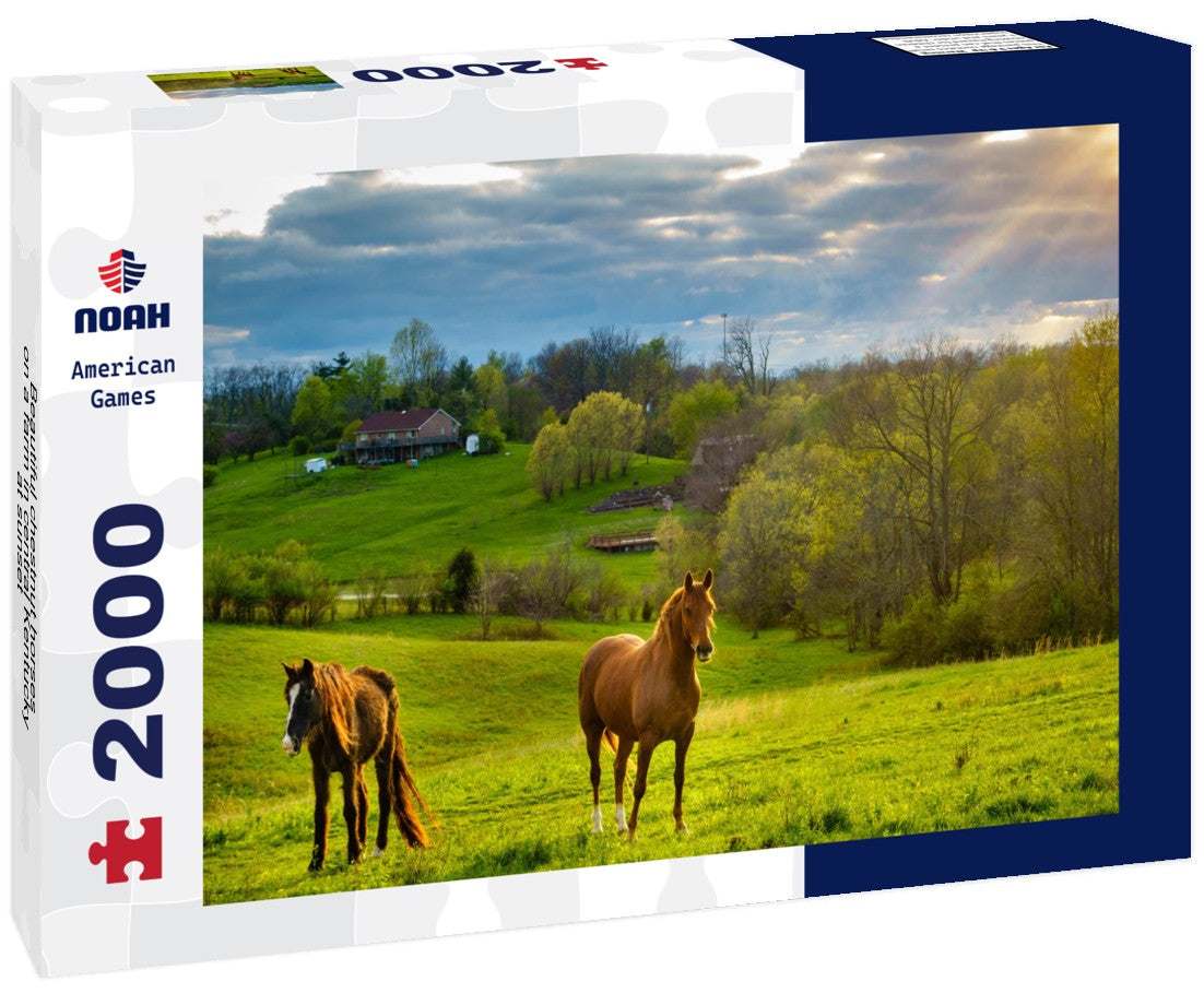 Beautiful chestnut horses on a farm in central Kentucky at sunset 2000pc Puzzle