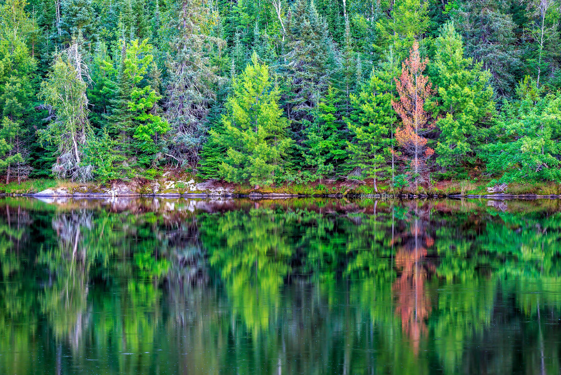 Noah Jigsaw Puzzle Voyageurs National Park 2000 pieces