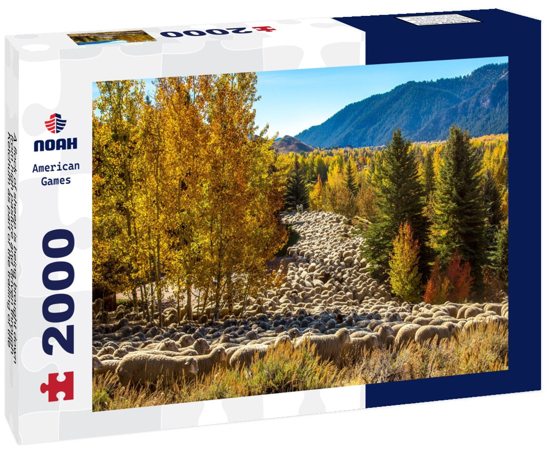 A flock of sheep is being brought down from high pasture and driven through Ketchum as part of the trailing of the sheep festival in Hailey, Idaho 2000pc Puzzle