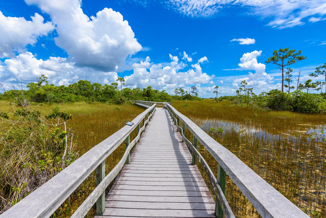Mahogany Hammock Trail of the Everglades National Park. Boardwalks in the swamp. Florida, USA 2000pc Puzzle